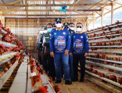 Bupati Muba Apresiasi Usaha Ketahanan Pangan Desa di Bayung Lencir     Peternakan ayam petelur dan budidaya ikan patin dikembangkan sebagai usaha bersama untuk meningkatkan ekonomi desa.