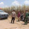 Polsek Tanjung Batu Laksanakan Patroli Sampaikan Imbauan Cegah Karhutla di Lahan Tebu PT SGN Cinta Manis