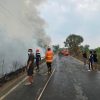 *Lihat Kepulan Asap, Bupati Toha Langsung Hentikan Perjalanan dan Turun ke Lokasi Karhutla*