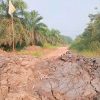 Warga Desa Rimba Jaya Banyuasin Bingung, PT TBL Tutup Akses Jalan di Wilayah Perusahaan