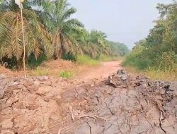 Warga Desa Rimba Jaya Banyuasin Bingung, PT TBL Tutup Akses Jalan di Wilayah Perusahaan