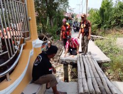 Setelah Viral! Jalan Desa Sungsang Ambruk Sebabkan Anak Sekolah Terjatuh Wabup Banyuasin Pastikan di Bangun Tahun Ini