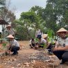 Dukung Ketahanan Pangan, Lapas Muara Enim Budidaya Pepaya California