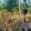 Tujuh Hotspot Terdeteksi di Wilayah Pulau Rimau, Polisi Lakukan Ground Check
