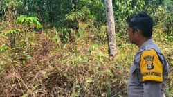 Tujuh Hotspot Terdeteksi di Wilayah Pulau Rimau, Polisi Lakukan Ground Check