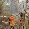 Gercep : Kebakaran Lahan Melanda Meranjat II, Kasubag Kepegawaian Damkar Ogan Ilir Bersama Persone BPBD Dan Warga Berjibaku Padamkan Api