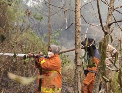 Gercep : Kebakaran Lahan Melanda Meranjat II, Kasubag Kepegawaian Damkar Ogan Ilir Bersama Persone BPBD Dan Warga Berjibaku Padamkan Api