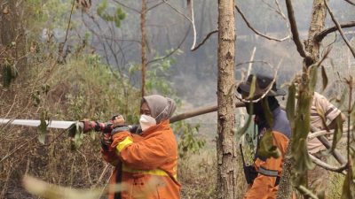 Gercep : Kebakaran Lahan Melanda Meranjat II, Kasubag Kepegawaian Damkar Ogan Ilir Bersama Persone BPBD Dan Warga Berjibaku Padamkan Api
