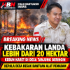 Kebakaran Landa Lebih dari 20 Hektar Kebun Karet di Desa Tanjung Beringin, Kepala Desa Desak Bantuan Alat Pemadam